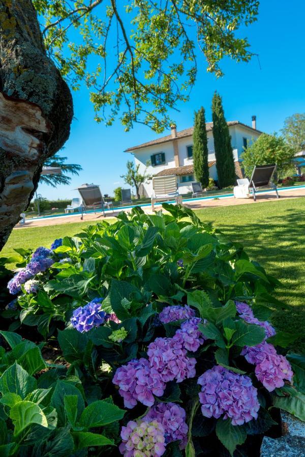 Il Raggio Di Sole Vila Bagnoregio Exterior foto