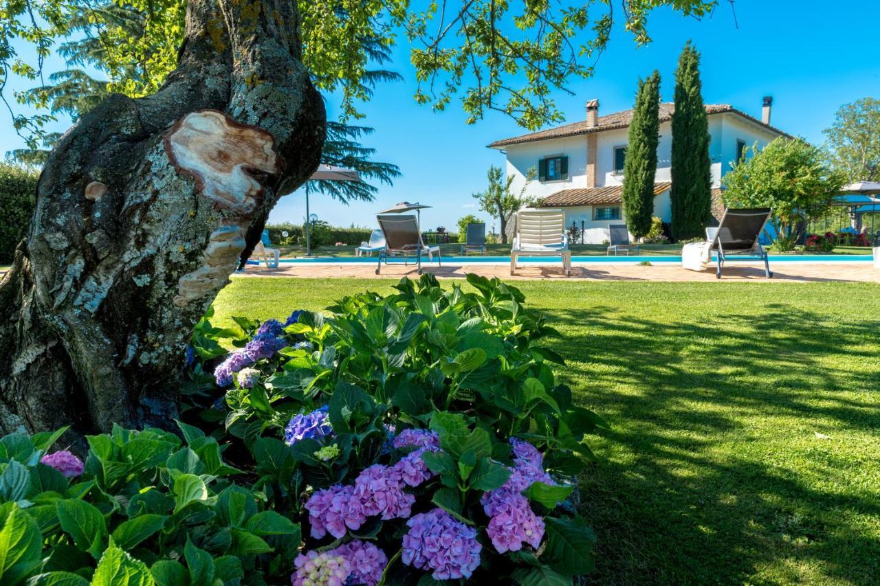 Il Raggio Di Sole Vila Bagnoregio Exterior foto