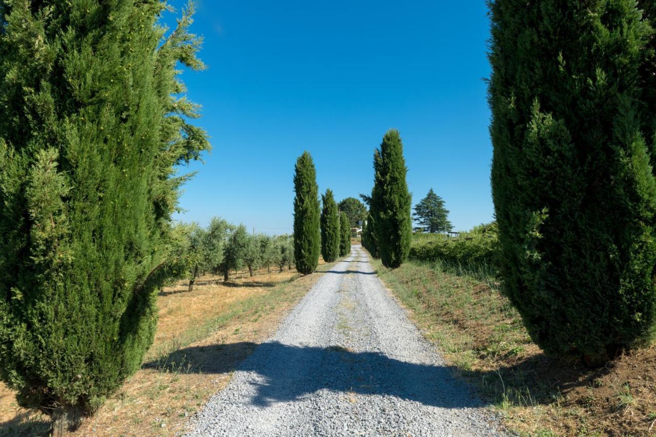 Il Raggio Di Sole Vila Bagnoregio Exterior foto